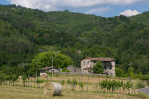 Field near Villa Collemandina in Garfagnana with open countryside and Apennine mountain backdrop